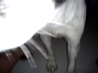 Free Porn Xxx