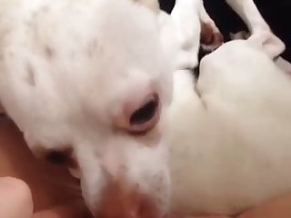Hairy Milla Xxx Porn