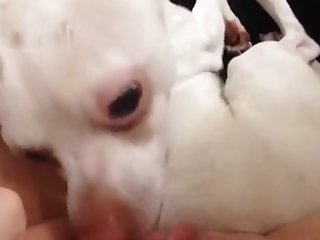 Hairy Milla Xxx Porn