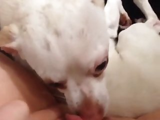 Hairy Milla Xxx Porn