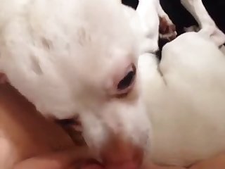 Hairy Milla Xxx Porn
