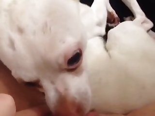 Hairy Milla Xxx Porn