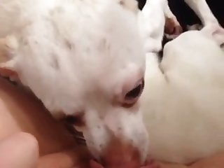 Hairy Milla Xxx Porn