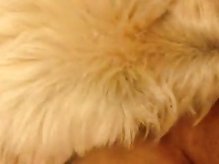 Xxx Tenn Porn