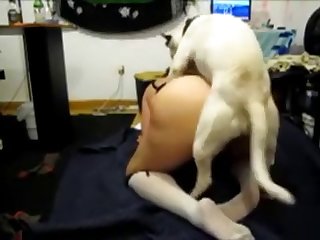 Porn Healslut Xxx Porn