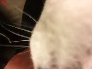 Celebrity Deep Fake Porn Xxx