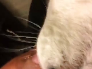 Celebrity Deep Fake Porn Xxx