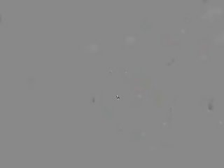 Top Male Porn Stars Xxx