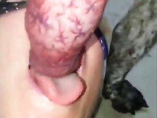 Lesbian Sex Cum Porn Xxx