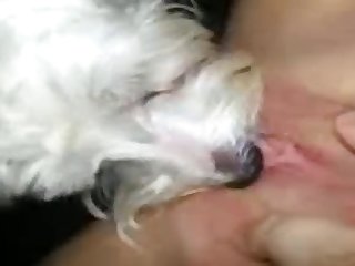 Aishah Xxx Porn