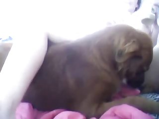 Melek Ozcagan Xxx Porn