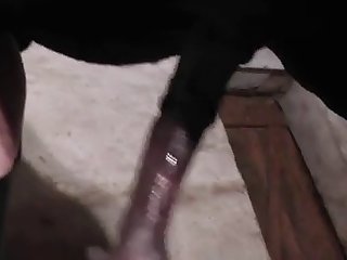 Indian Porn Video Xxx