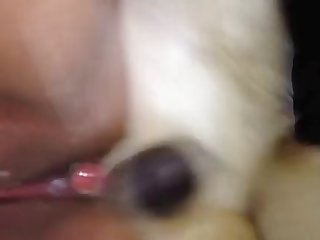 Elisa Ann Costa Xxx Porn