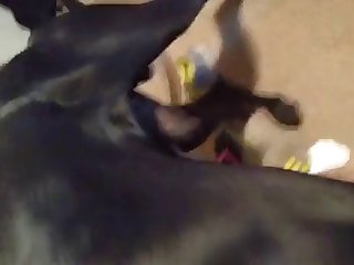 Friday Night Funkin Game Porn Xxx