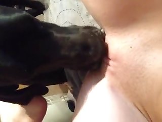 Friday Night Funkin Game Porn Xxx