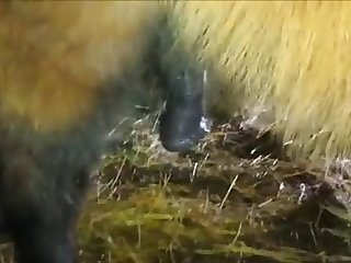 Victoria Lynn Johnson Porn Xxx Porn