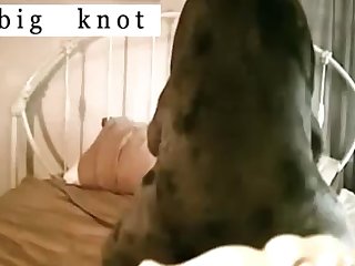 Vixenp Xxx Porn