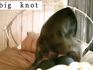 Vixenp Xxx Porn