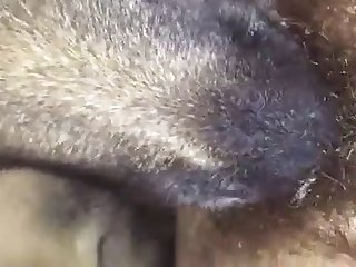 M Xxx Porn