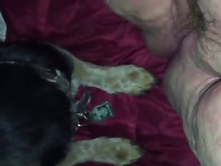 Sex Porn New Xxx