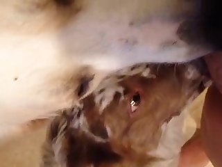 Porn Half Sisters Xxx