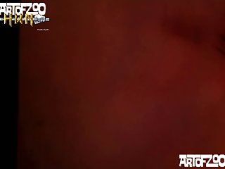 Animal Human Pornhub