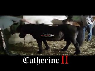The Animal Crossing Porn Video