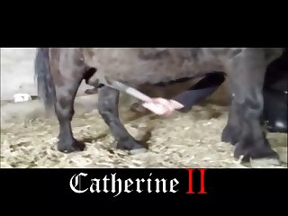The Animal Crossing Porn Video
