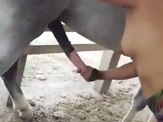 Animal Abuse Pornhub