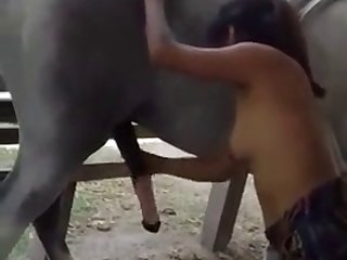 Animal Abuse Pornhub