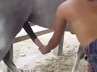 Animal Abuse Pornhub
