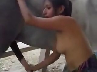 Animal Abuse Pornhub
