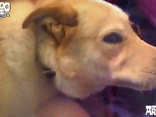 Sofia The Baddy Dog Video Porn