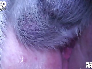 Sofia The Baddy Dog Video Porn