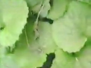 Loving Dakotas Cock Chunk 15