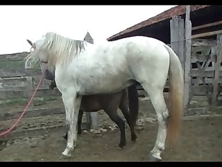 Lupe Vs Stallion Scene 03