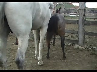 Lupe Vs Stallion Scene 03