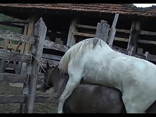 Lupe Vs Stallion Scene 03