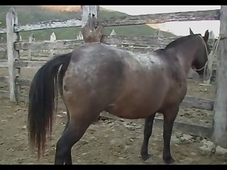 Lupe Vs Stallion Scene 03