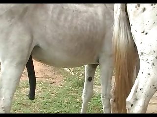 Jack Vs Mare Primavera