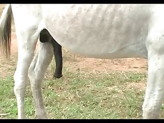 Jack Vs Mare Primavera