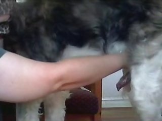 Veronica's Dog Porn
