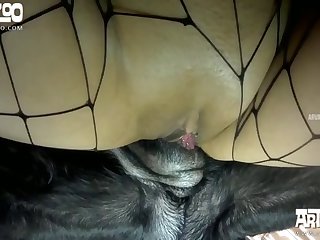 Xxxo Zoophilie Avec Des Cochon