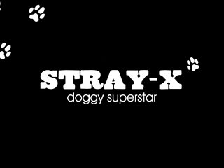 Project Desert Strom Dog Xxx