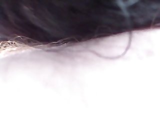 Hayvanporno