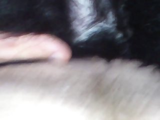 Dogxx