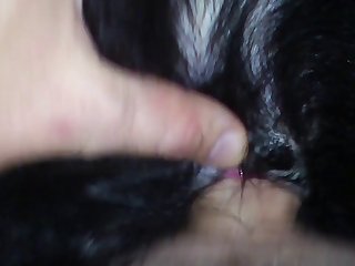 Dogxx