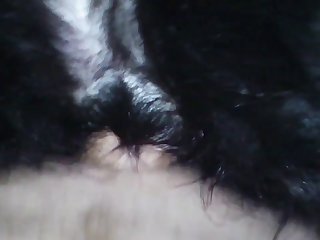 Dogxx