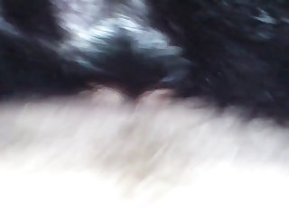 Dogxx