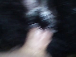 Dogxx